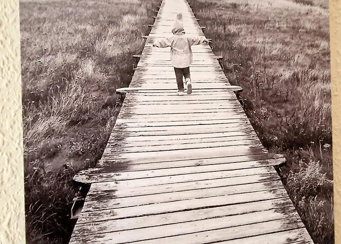 Appartement Haus-achtern-diek-whg-02 Sankt Peter-Ording